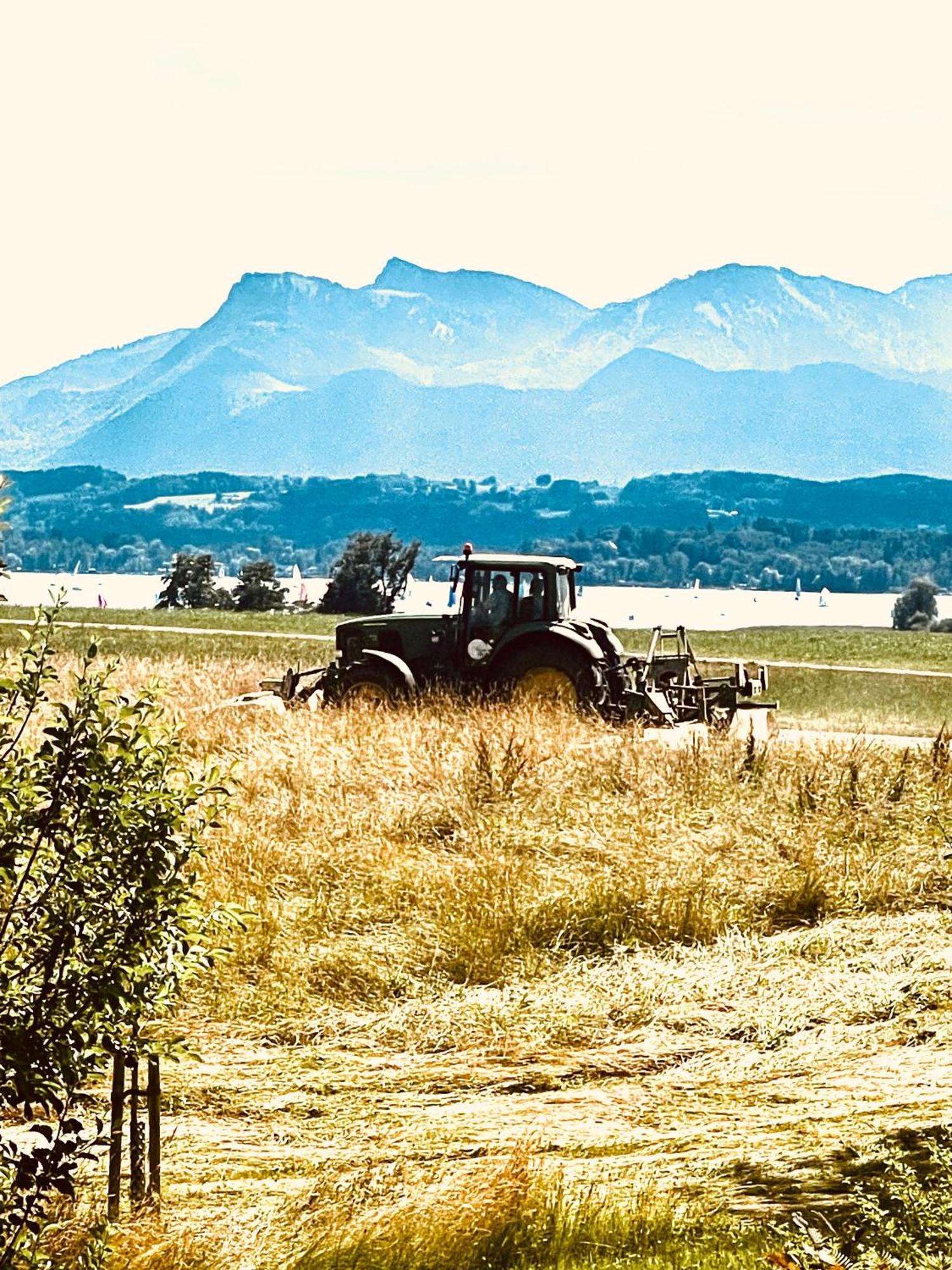 Zuhaeusl Am Chiemsee Appartements Breitbrunn am Chiemsee Esterno foto