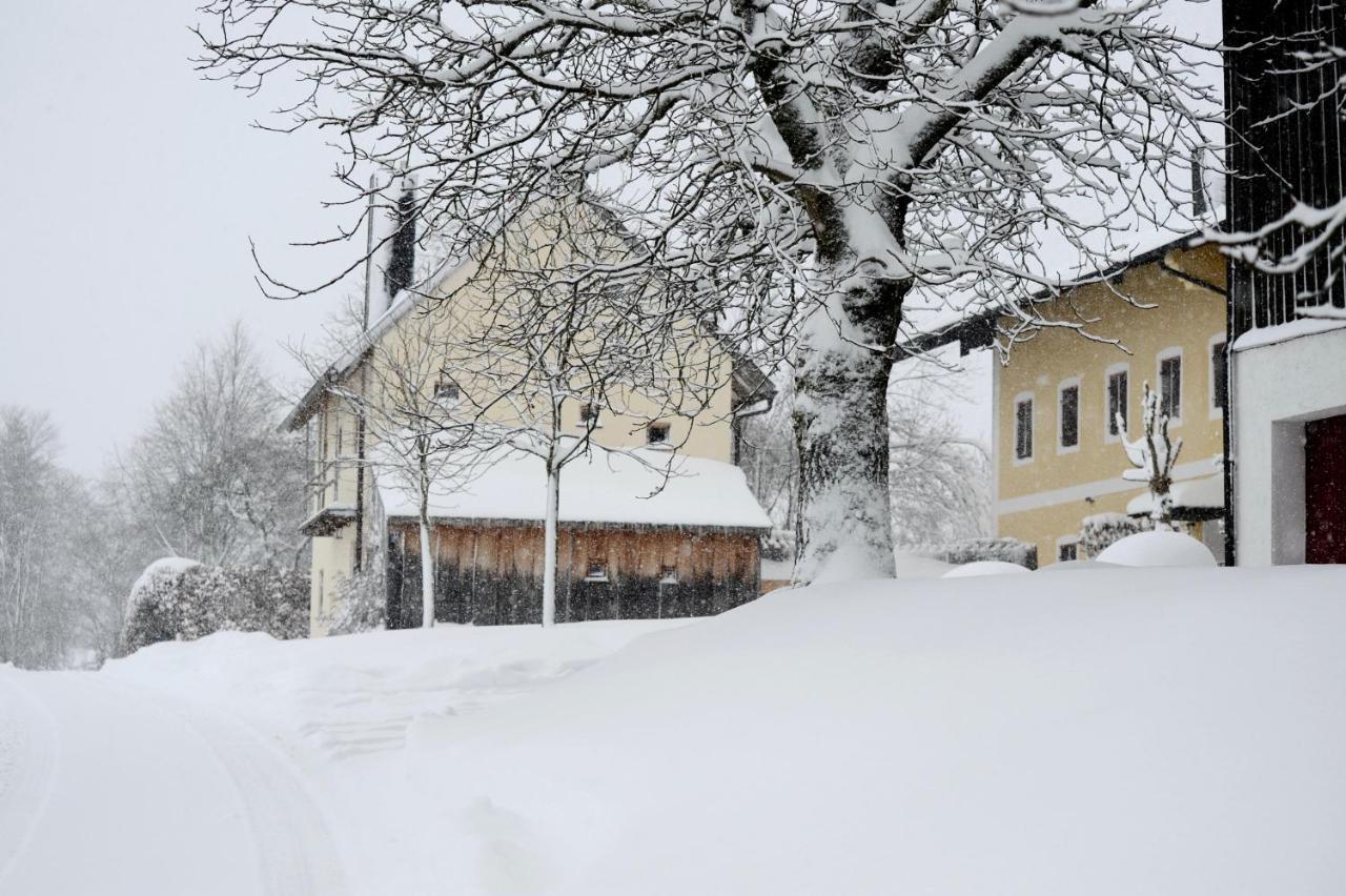 Zuhaeusl Am Chiemsee Appartements Breitbrunn am Chiemsee Esterno foto