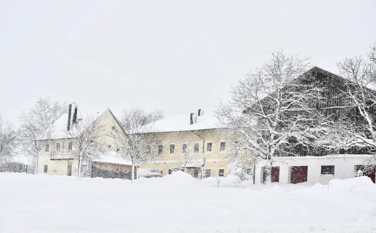 Zuhaeusl Am Chiemsee Appartements Breitbrunn am Chiemsee Esterno foto